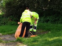 MP accuses council of 'dragging its feet' after travellers
