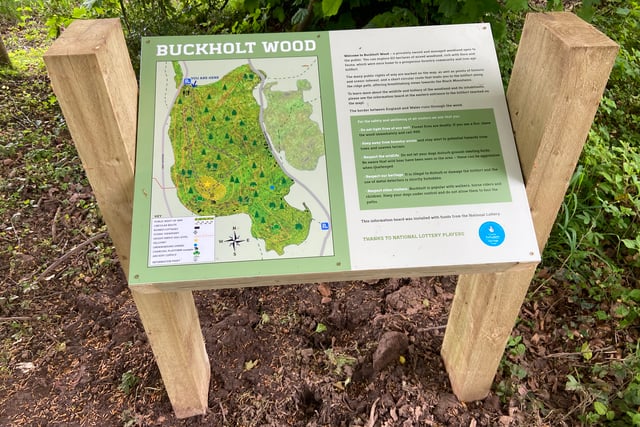 Tree-mendous £99k Lottery boost for woodland group