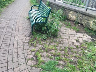 Call for Lydney car park clean up