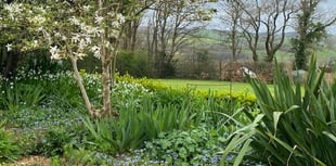Thanks for open garden support says Tim
