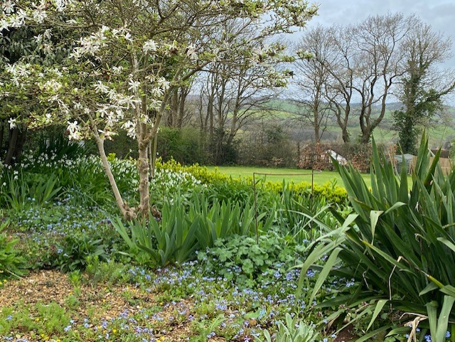 Mansard House gardens