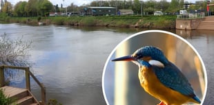 More Wye fishing platforms ‘bad for river’ warns wildlife watchdog