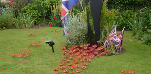 Garden poppy display to commemorate D-Day anniversary