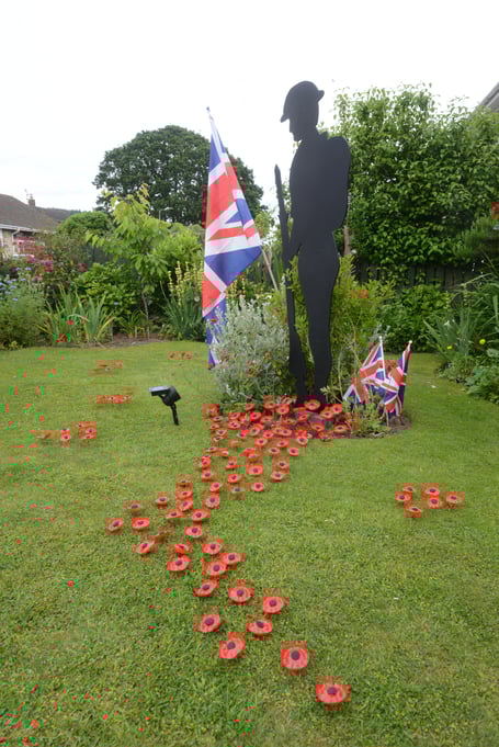 The display of poppies in the garden at Dixton Close