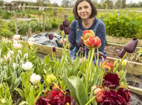 Pay as you go floral offer to celebrate three national events