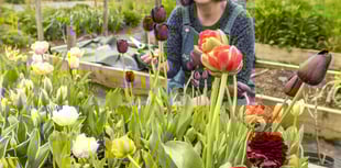 Pay as you go floral offer to celebrate three national events