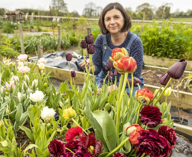 Pay as you go floral offer to celebrate three national events