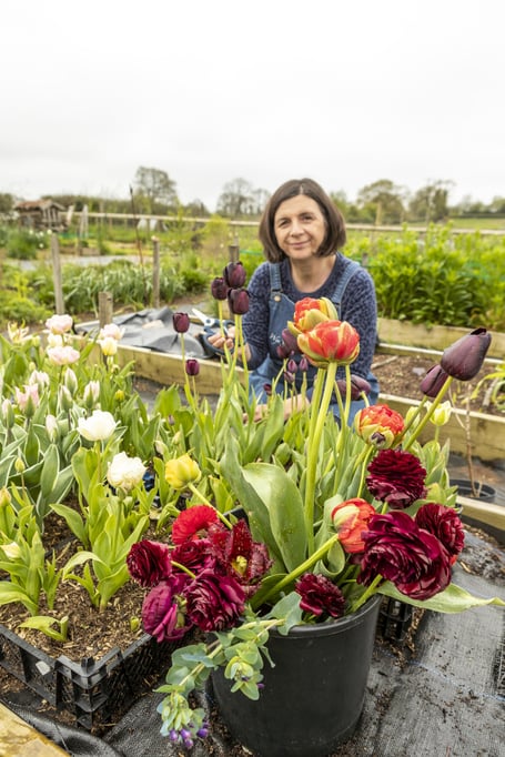 Wye Valley Flowers supplied tulips and Rannunculus for the coronation of His Majesty King Charles.