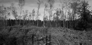 Monmouth artist holds exhibition in Hereford