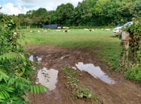 Gypsy sites could soon be revealed