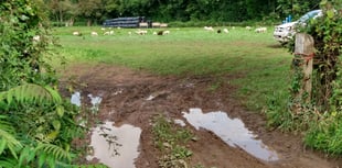 Gypsy sites could soon be revealed