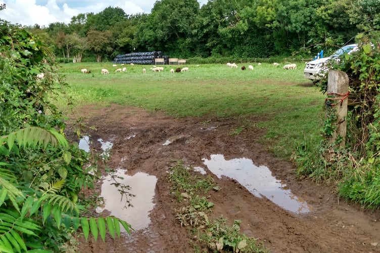 The entrance to the field behind Langley Close, Magor which could be considered for a potential Gypsy Traveller site. 