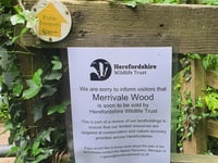 Wildlife trust to sell Wye Valley nature reserve