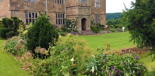 Treowen house and garden open this Sunday, June 30th