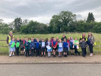 Pupils visit wild bee orchids