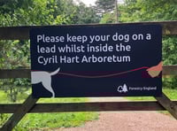 New rules for dog walkers after attacks in Forest arboretum