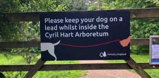New rules for dog walkers after attacks in Forest arboretum