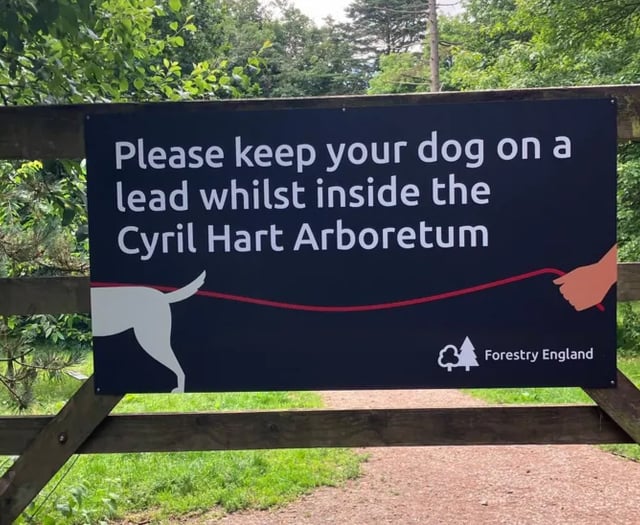 New rules for dog walkers after attacks in Forest arboretum