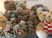 Teddy bears take the plunge at Usk castle
