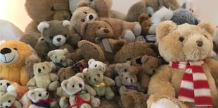 Teddy bears take the plunge at Usk castle