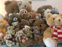 Teddy bears take the plunge at Usk castle