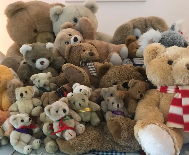 Teddy bears take the plunge at Usk castle