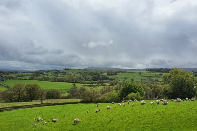 Union welcome for farming support schemes