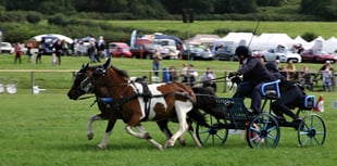 Just two weeks to the Monmouthshire Show
