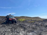 Wildfire destroys three acres of grassland near Keeper's Pond