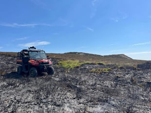 Wildfire destroys three acres of grassland near Keeper's Pond