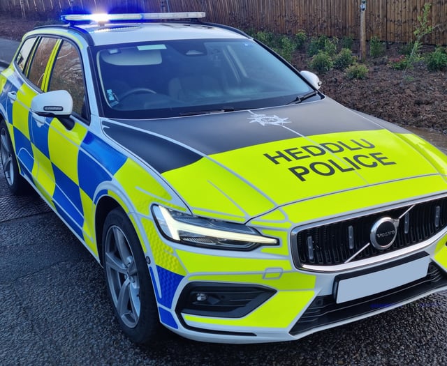 Armed police on scene as five are arrested