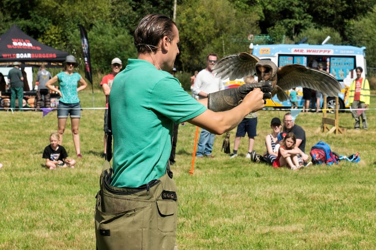 The weekend included a falconry display, this was a Black Barn Owl