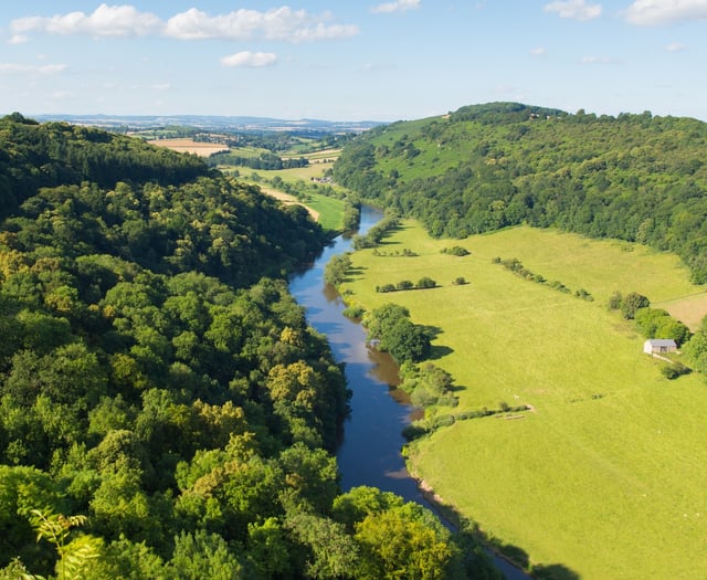 Forest of Dean Council to help clean up rivers