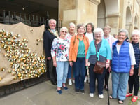 Swarm of hand-knitted bees descend on the Shire Hall