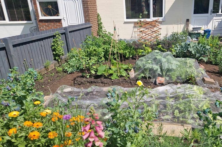 The finished garden