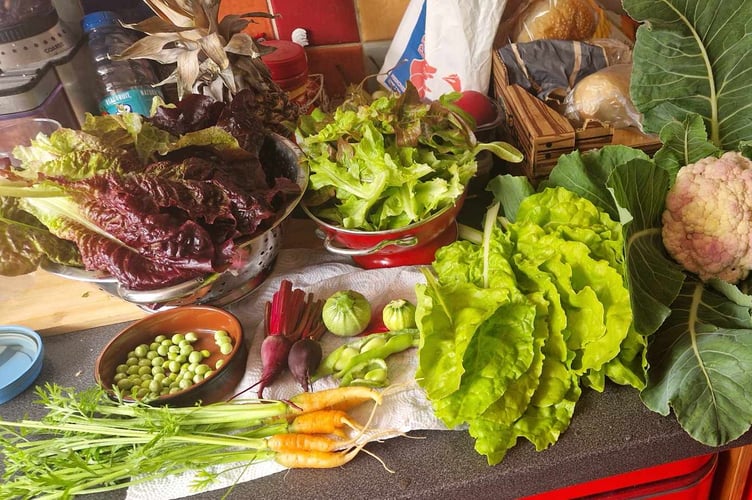 Some of the produce from their garden