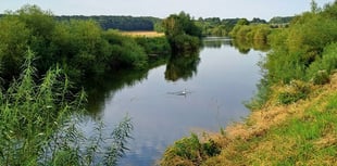 Wye pollution not just down to poultry farms, claims report