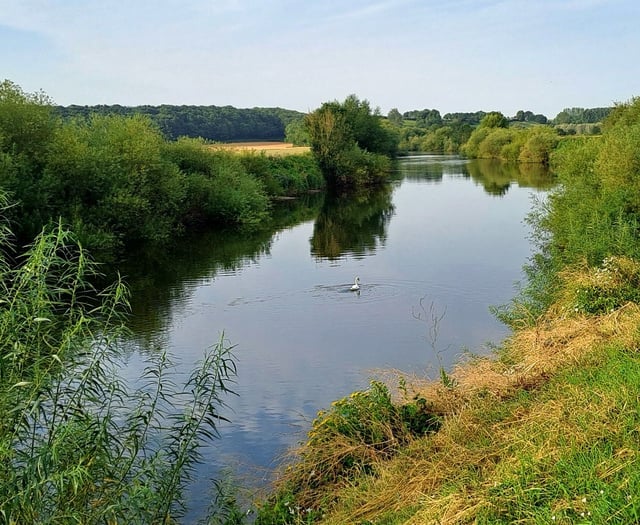Wye pollution not just down to poultry farms, claims report