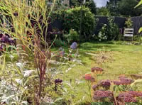 Create a garden perfect for pollinators