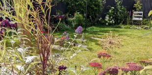 Create a garden perfect for pollinators