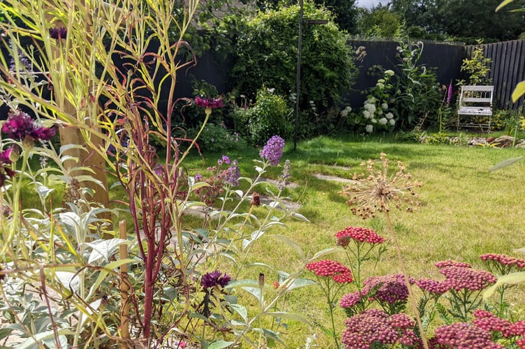 Flower filled border and shaggy lawn