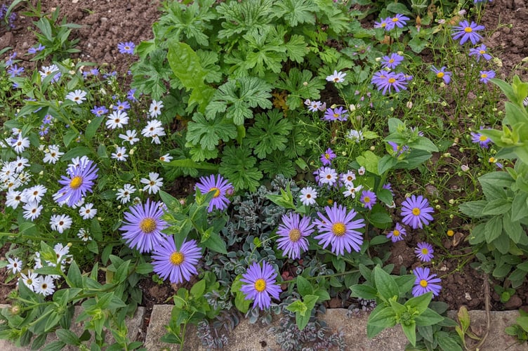 Insect friendly soil protection