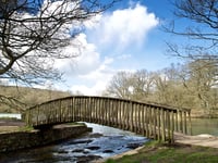 Forestry England provides Cannop Ponds update