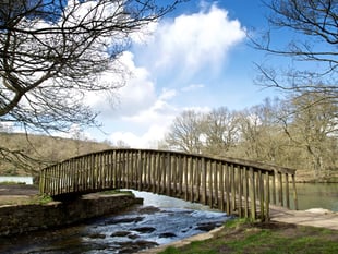 Forestry England provides Cannop Ponds update