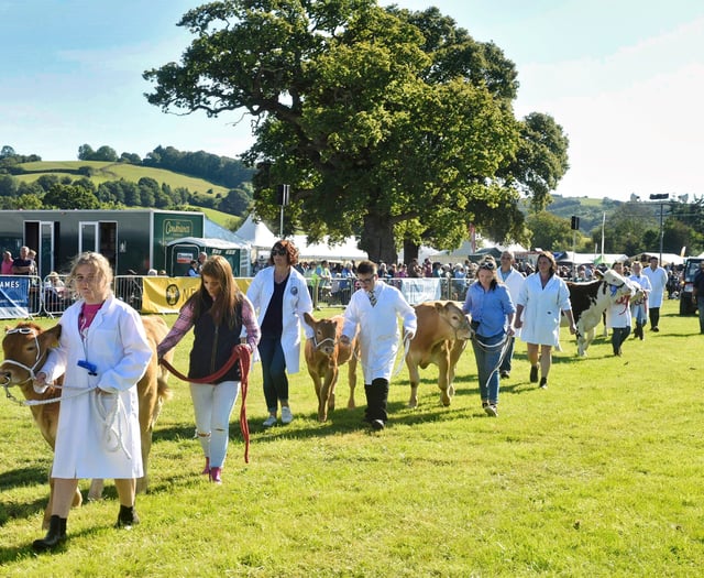County show breaks the records