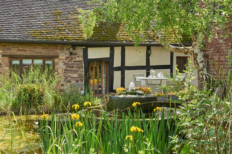 White Birch Manor