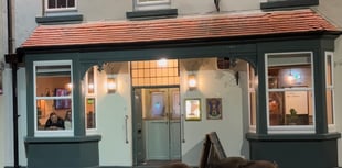 Watch: Boar enjoy a night on the town 