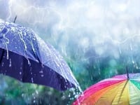Petition pours cold water on council’s £170K weather forecasting plan