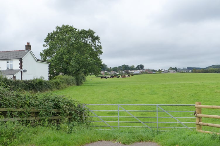 The proposed site for 220 homes on Leasbrook/Dixton Road
