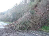 Dormice delay in A40 rock fall clearance